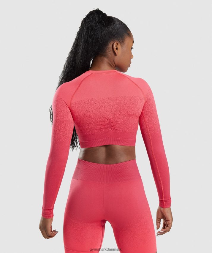 Kvinder Gymshark adapt ombre sømløs langærmet crop top N4ZDDN488 lyserød/rød