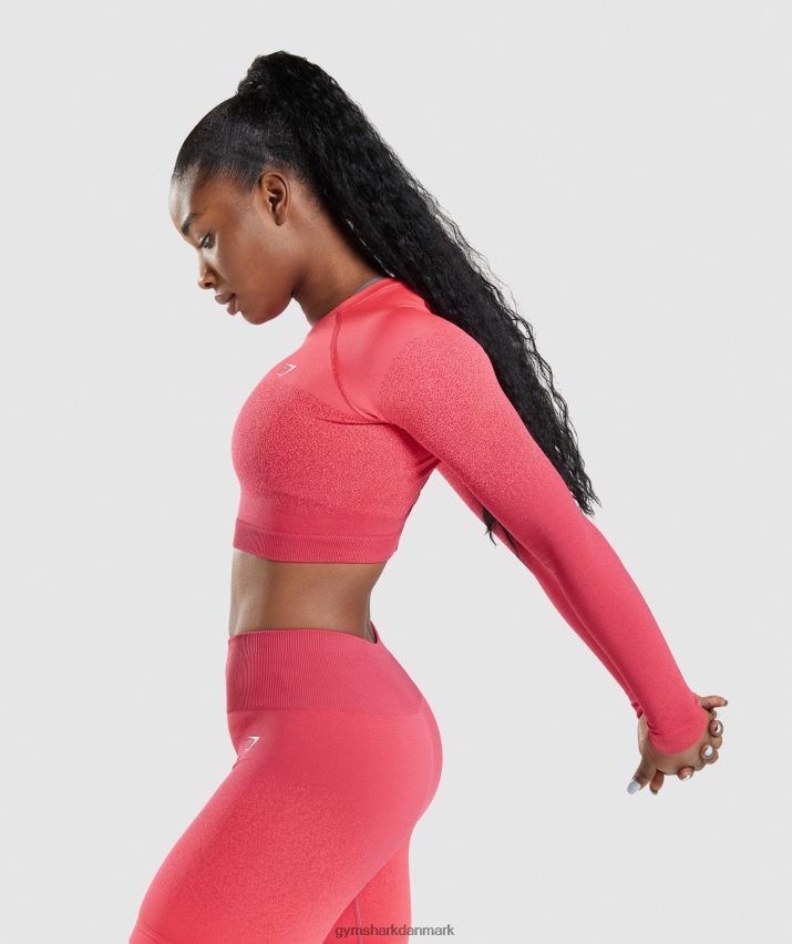Kvinder Gymshark adapt ombre sømløs langærmet crop top N4ZDDN488 lyserød/rød
