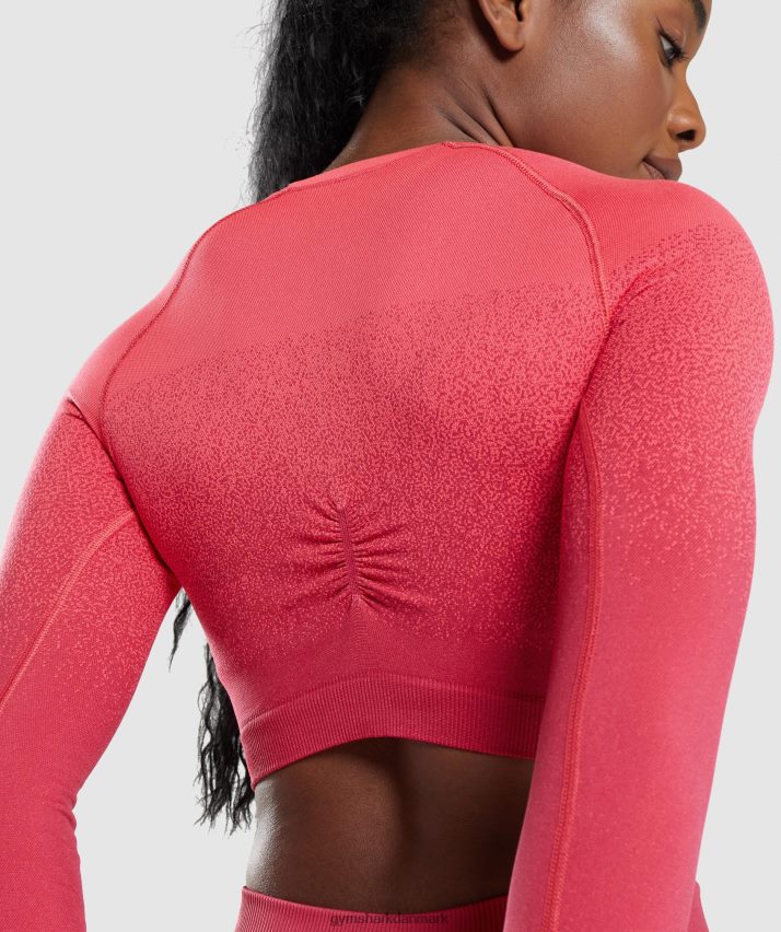 Kvinder Gymshark adapt ombre sømløs langærmet crop top N4ZDDN488 lyserød/rød
