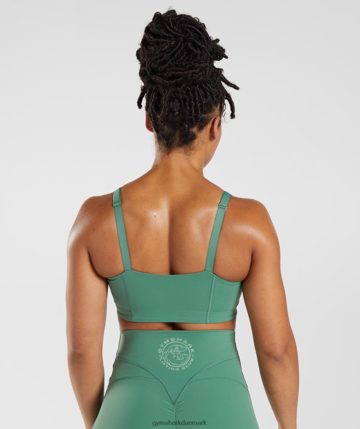Kvinder Gymshark ældre sports-bh N4ZDDN174 hoya grøn