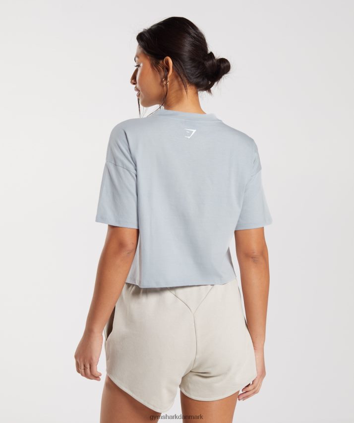 Kvinder Gymshark broderet grafisk midi t-shirt N4ZDDN486 flodsten grå