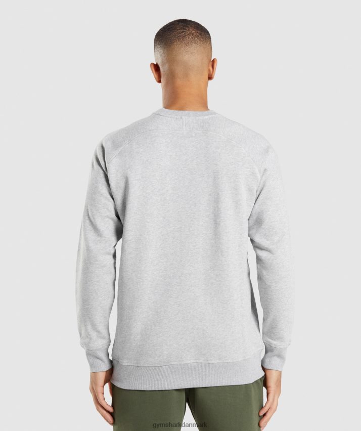 Mænd Gymshark apollo besætning N4ZDDN844 lysegrå mergel