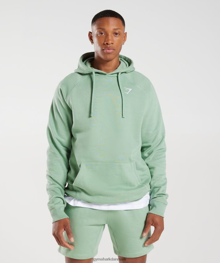 Mænd Gymshark crest hættetrøje N4ZDDN823 ørkensalvie grøn