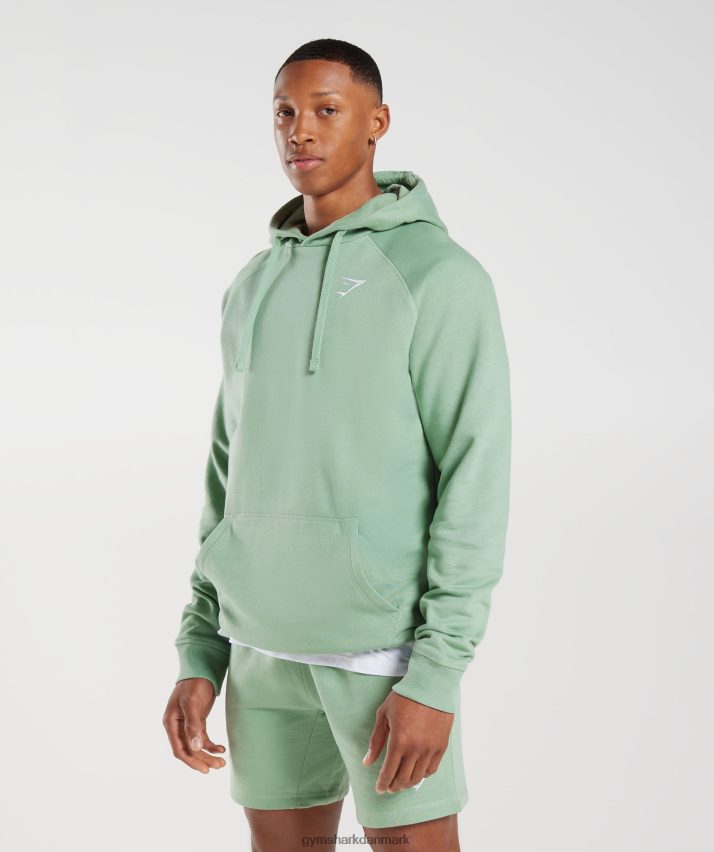 Mænd Gymshark crest hættetrøje N4ZDDN823 ørkensalvie grøn