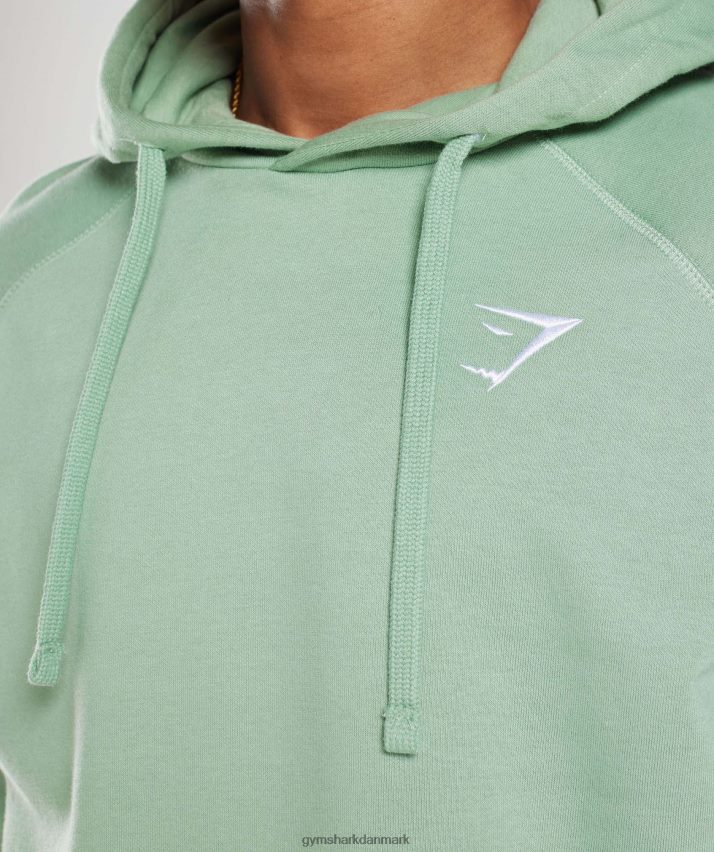 Mænd Gymshark crest hættetrøje N4ZDDN823 ørkensalvie grøn