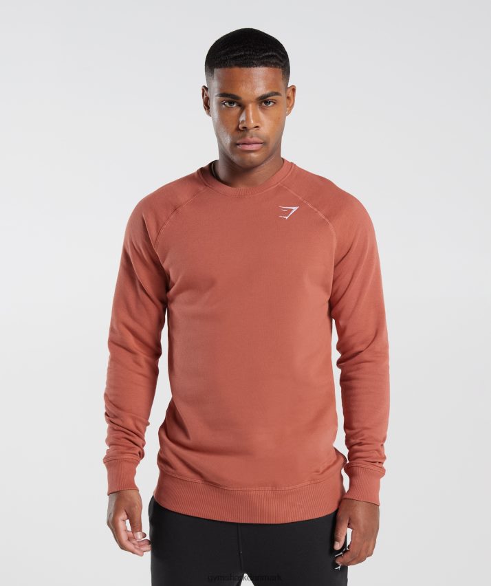Mænd Gymshark crest sweatshirt N4ZDDN1053 persimmon rød