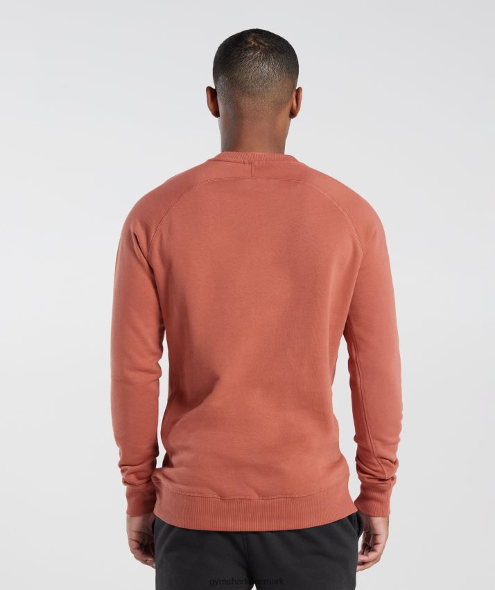 Mænd Gymshark crest sweatshirt N4ZDDN1053 persimmon rød