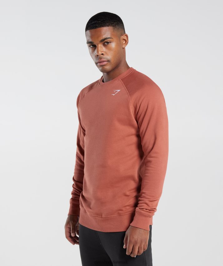 Mænd Gymshark crest sweatshirt N4ZDDN1053 persimmon rød