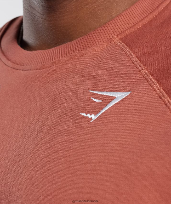 Mænd Gymshark crest sweatshirt N4ZDDN1053 persimmon rød