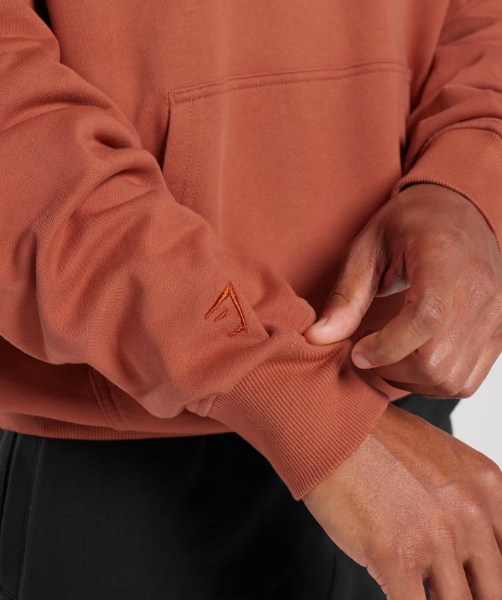 Mænd Gymshark hættetrøje med det nødvendige til hviledag N4ZDDN797 persimmon rød