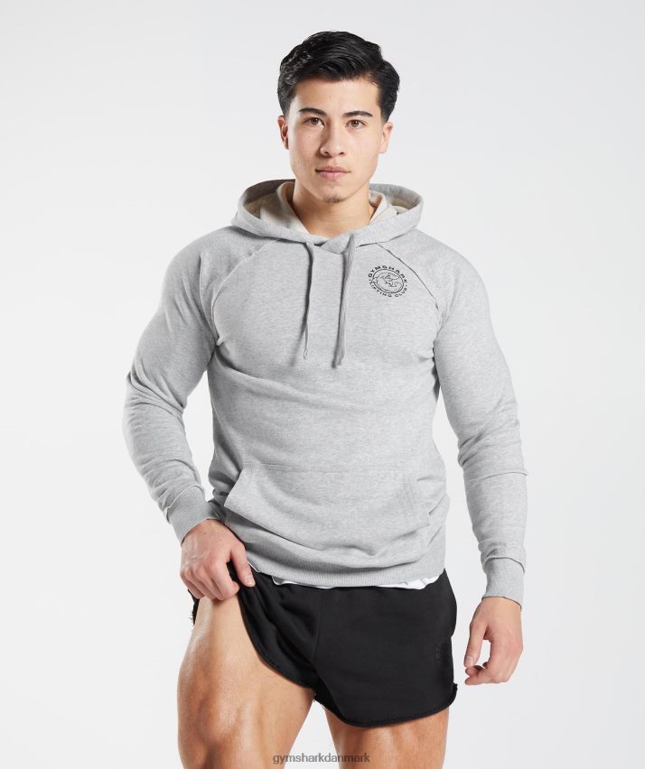 Mænd Gymshark ældre hættetrøje N4ZDDN837 lysegrå mergel
