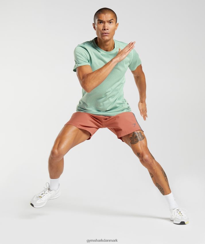 Mænd Gymshark sportsshorts N4ZDDN531 persimmon rød/silhuet grå