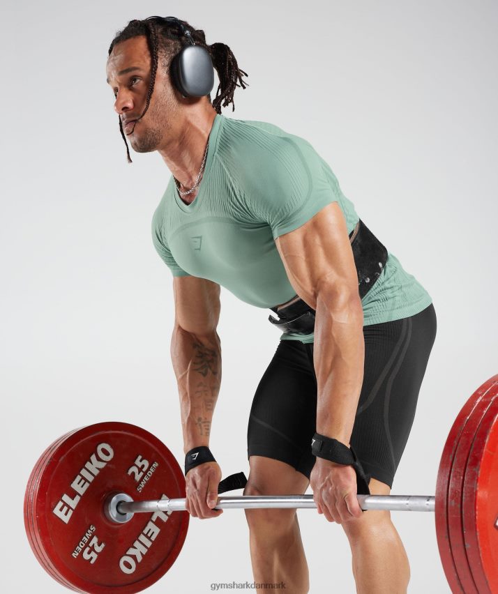 Mænd Gymshark 315 sømløs t-shirt N4ZDDN779 frost blågrøn/blæk blågrøn