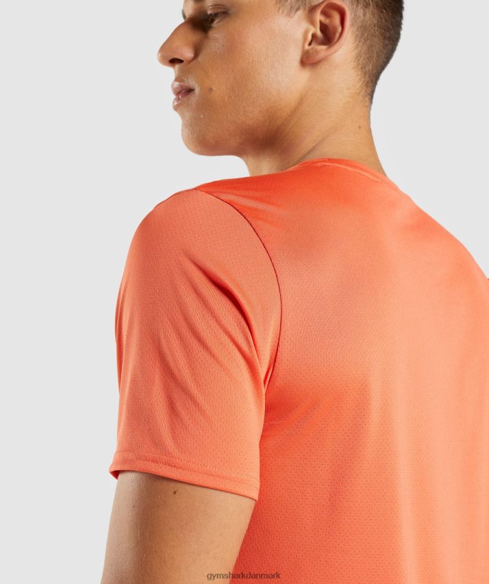 Mænd Gymshark ankomst t-shirt N4ZDDN748 papaya appelsin