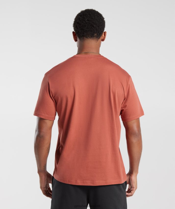 Mænd Gymshark crest t-shirt N4ZDDN770 persimmon rød