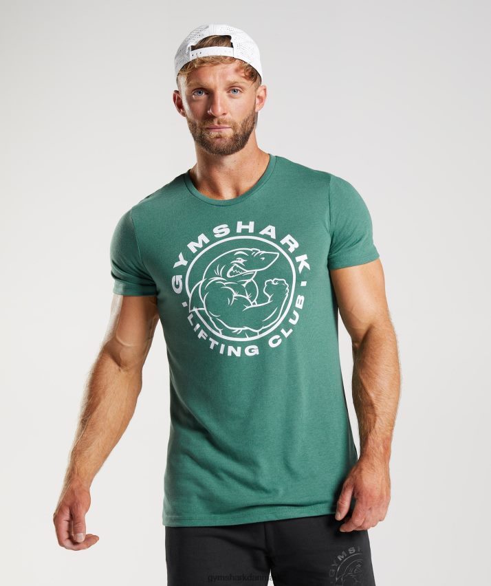 Mænd Gymshark ældre t-shirt N4ZDDN697 hoya grøn