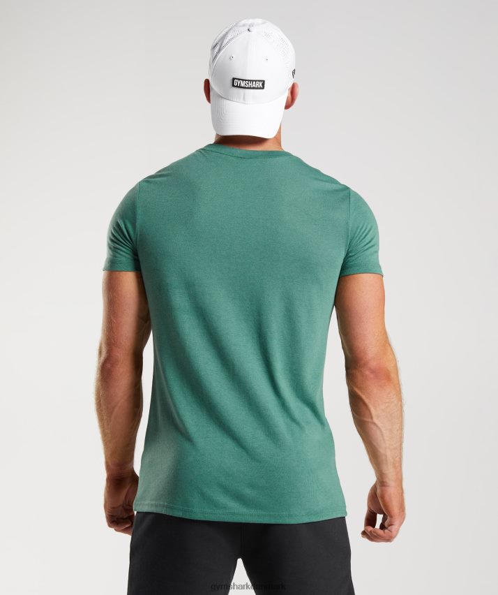 Mænd Gymshark ældre t-shirt N4ZDDN697 hoya grøn