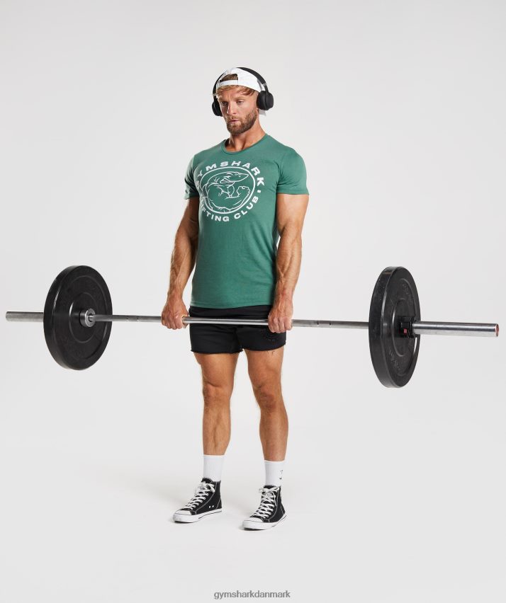 Mænd Gymshark ældre t-shirt N4ZDDN697 hoya grøn