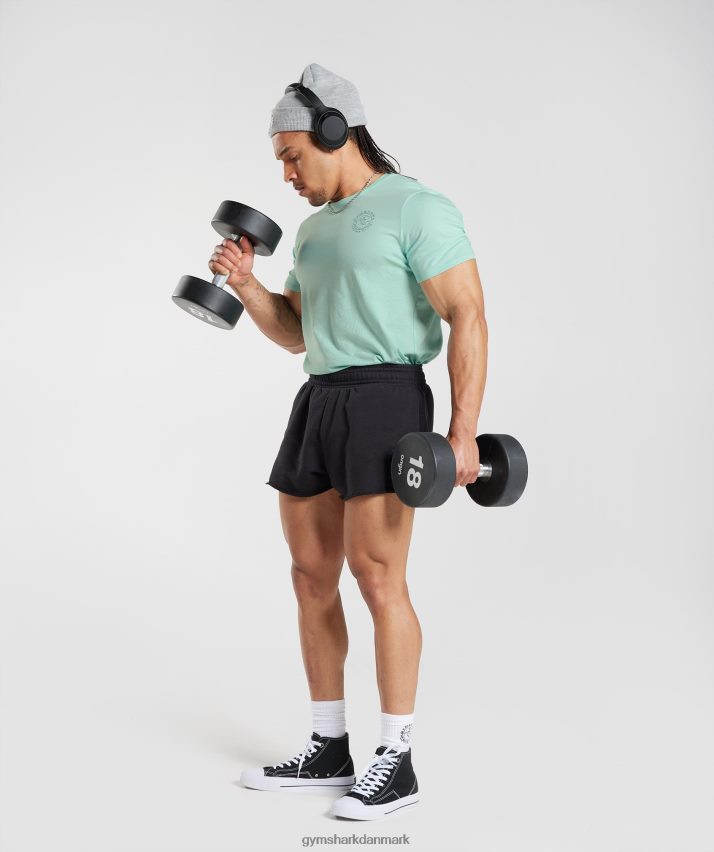 Mænd Gymshark ældre t-shirt N4ZDDN766 aqua grøn