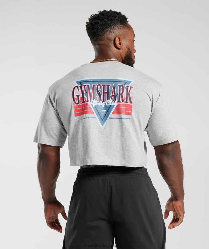 Mænd Gymshark retrowave crop t-shirt N4ZDDN588 lysegrå kernemergel