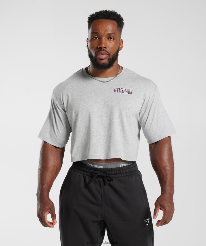 Mænd Gymshark retrowave crop t-shirt N4ZDDN588 lysegrå kernemergel