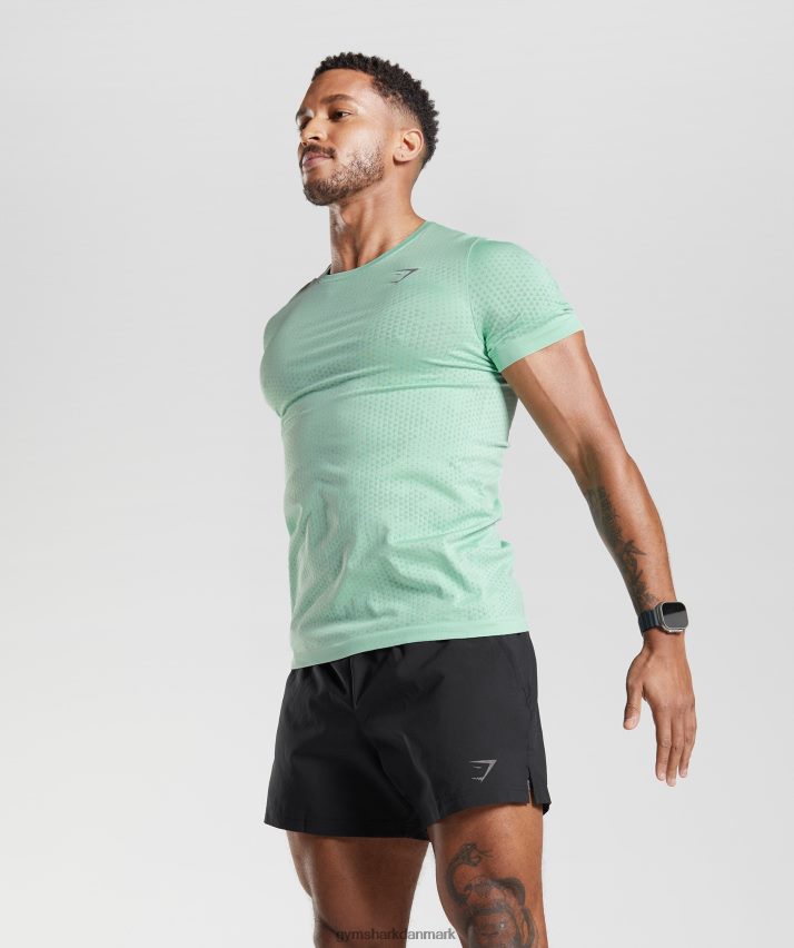 Mænd Gymshark sport sømløs t-shirt N4ZDDN715 pastelgrøn/pilegrøn