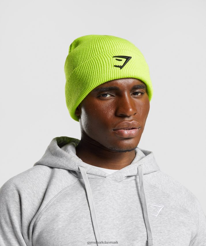 unisex Gymshark hajhoved hue N4ZDDN1141 reaktiv grøn